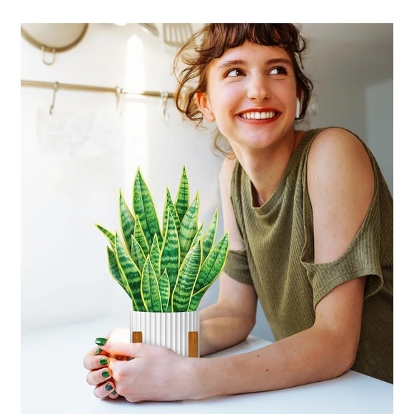 Vibrant Green Snake Plant Pop-Up Card - Picture 2 of 9